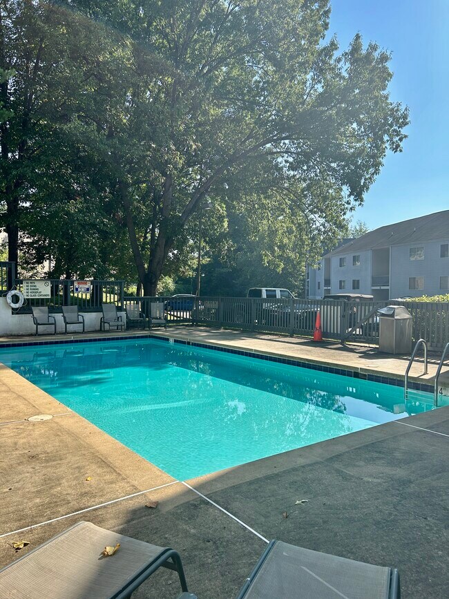 Pool on the property - 1243 Cedars Ct