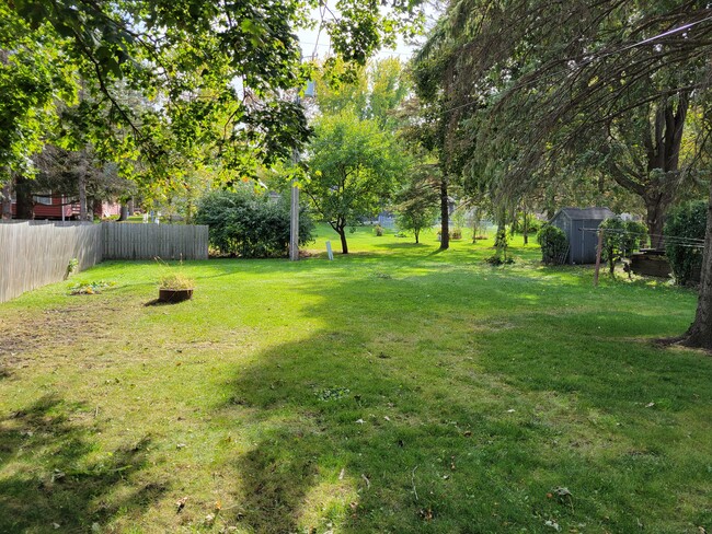 Back Yard - 621 Agnes St