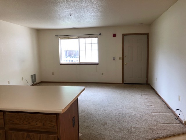 Living room - 4230 W Grange Ave