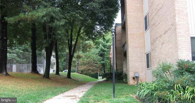 Walkway to Front of Building - 5113 Crossfield Ct