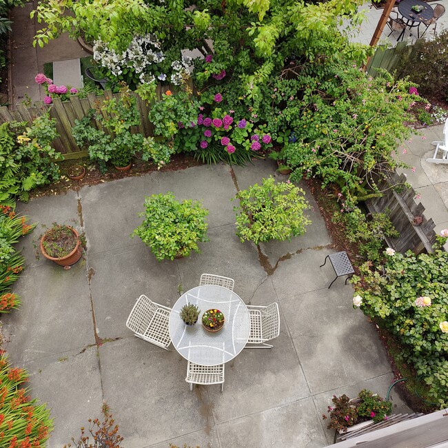 Garden - 33 Cervantes Blvd
