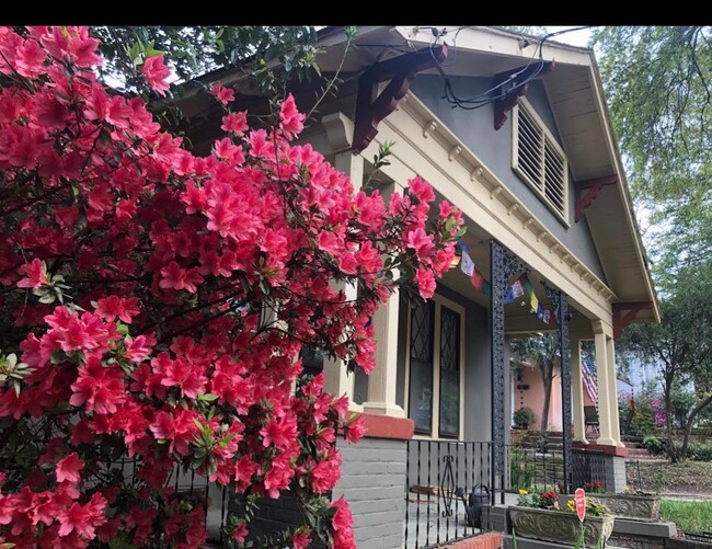 Foto del edificio - 1326 Wingfield St