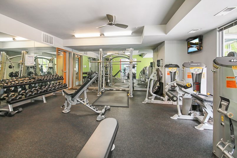 Gym with free weights, weight machines, and benches.