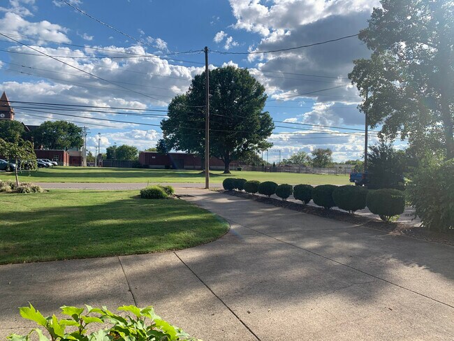 View off Cumberland University - 405 W Spring St