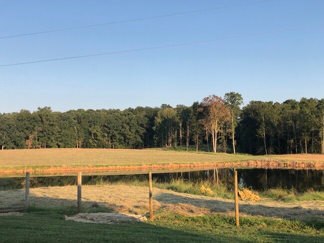Building Photo - 373 Co Rd 64