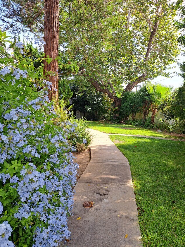 816 E Carson St Unit 816, Long Beach, CA 90807 Condo for Rent in Long Beach, CA