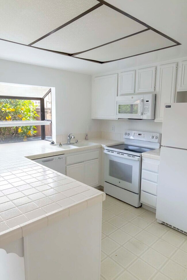 Kitchen - 1605 Dalmatia Dr