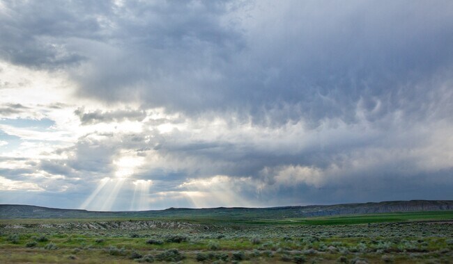 Foto del edificio - Elkhorn Apartments