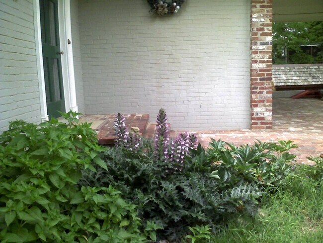 rare plants - 5602 Dawes Ave