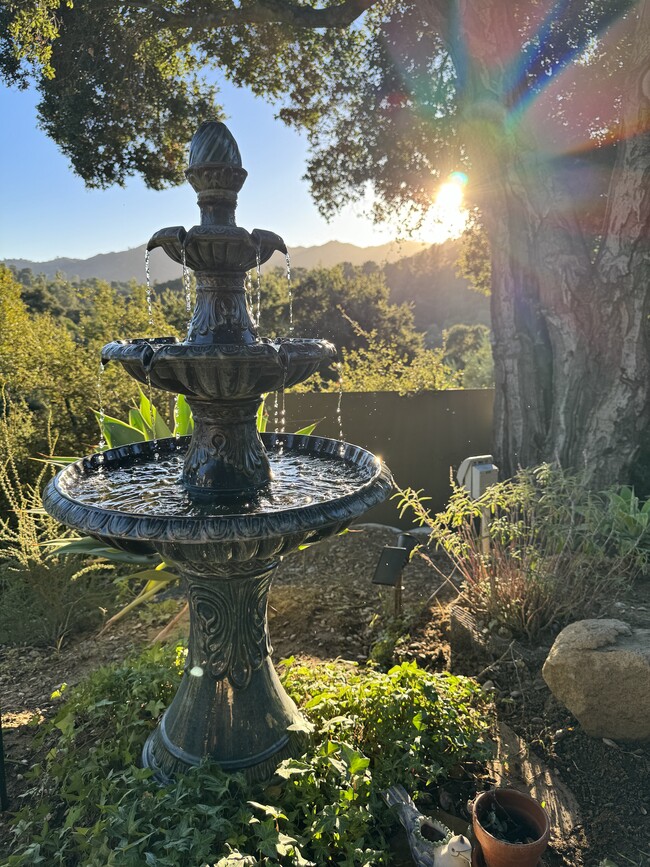 View from patio 1 - 1224 N Topanga Canyon Blvd