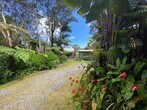 Primary Photo - Pet Friendly-Ohia Estates In Volcano