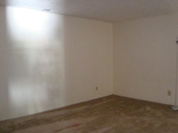 Photo - 929 Live Oak Dr