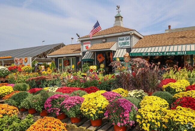 There is always a colorful arrangement of flowers outside O'Brien's in Stoneham.