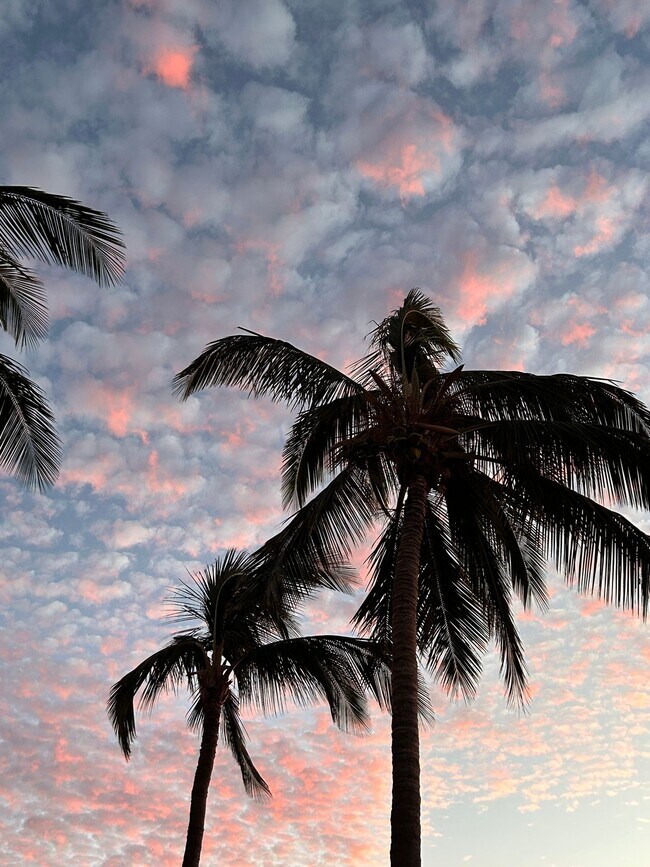 Foto del edificio - 2 bedroom 1.5 bathroom Ohana, across the street from the beach and park!