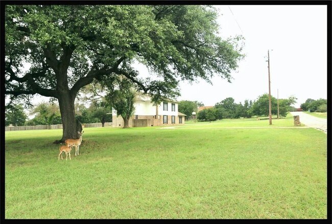 Building Photo - 1804 Mayfield Dr