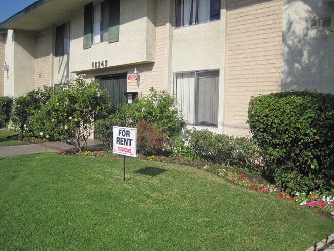 Building Photo - Valle Terrace Apartments