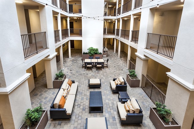 Interior Photo - Zuma