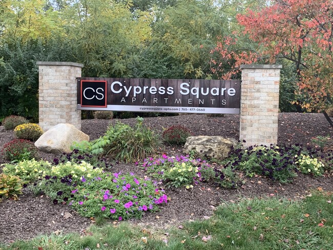 Building Photo - Cypress Square
