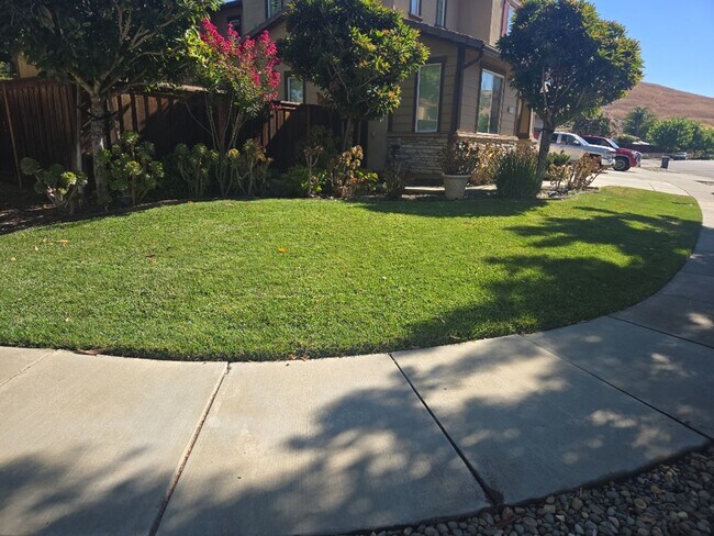 Building Photo - Gorgeous corner lot home