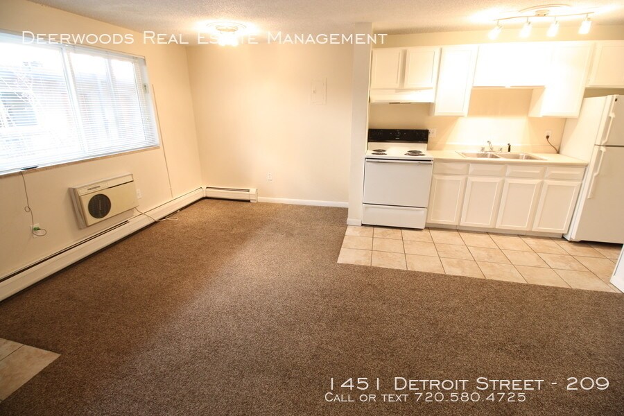 Primary Photo - 1451 Detroit St