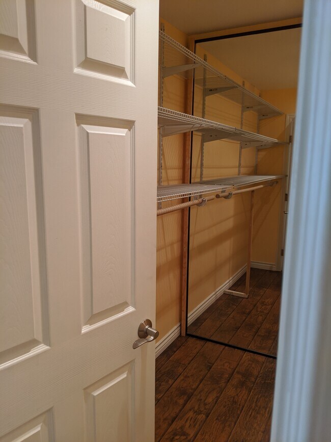 Walking Closet - 16 Wildwheat