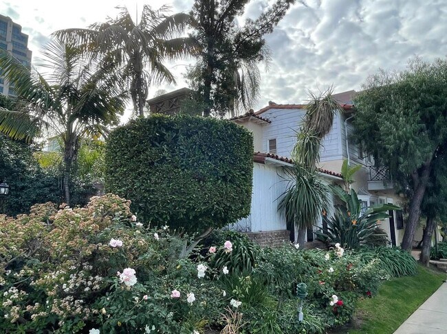 paisaje - 10806 Lindbrook Dr