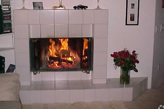 Real Wood Burning Fireplace! - 470 South Ave