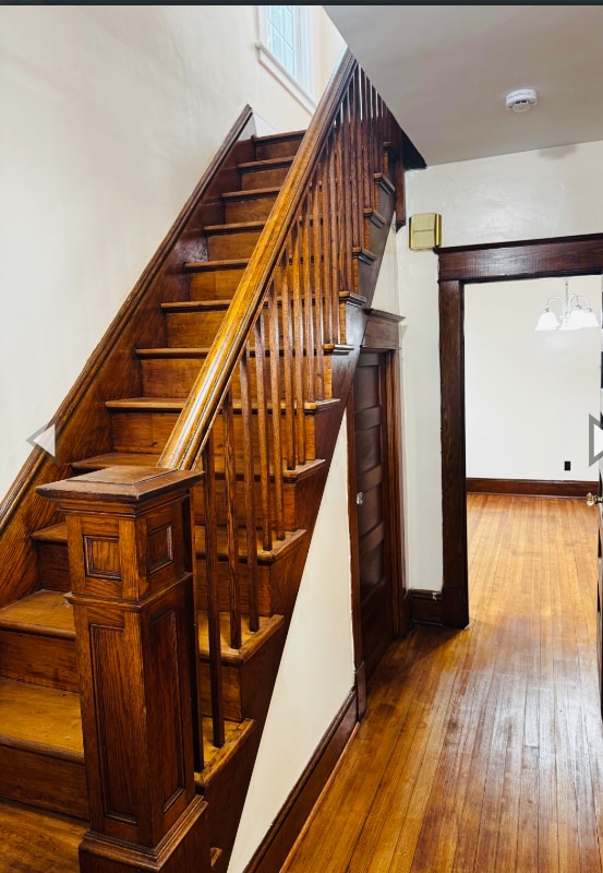 Foto del edificio - 559 Myrtle Ave