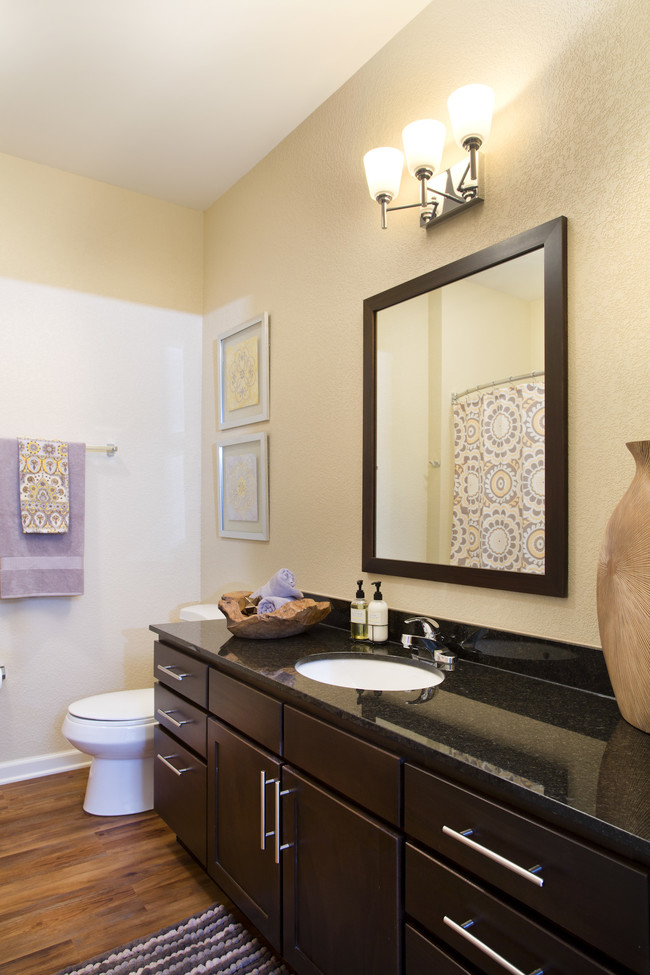 Unit Bathroom - SunSTONE Apartment Homes at Fox Ridge