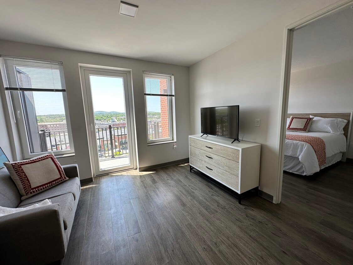 sala de estar en el apartamento de un dormitorio - Red Oak at 409 Elm Street