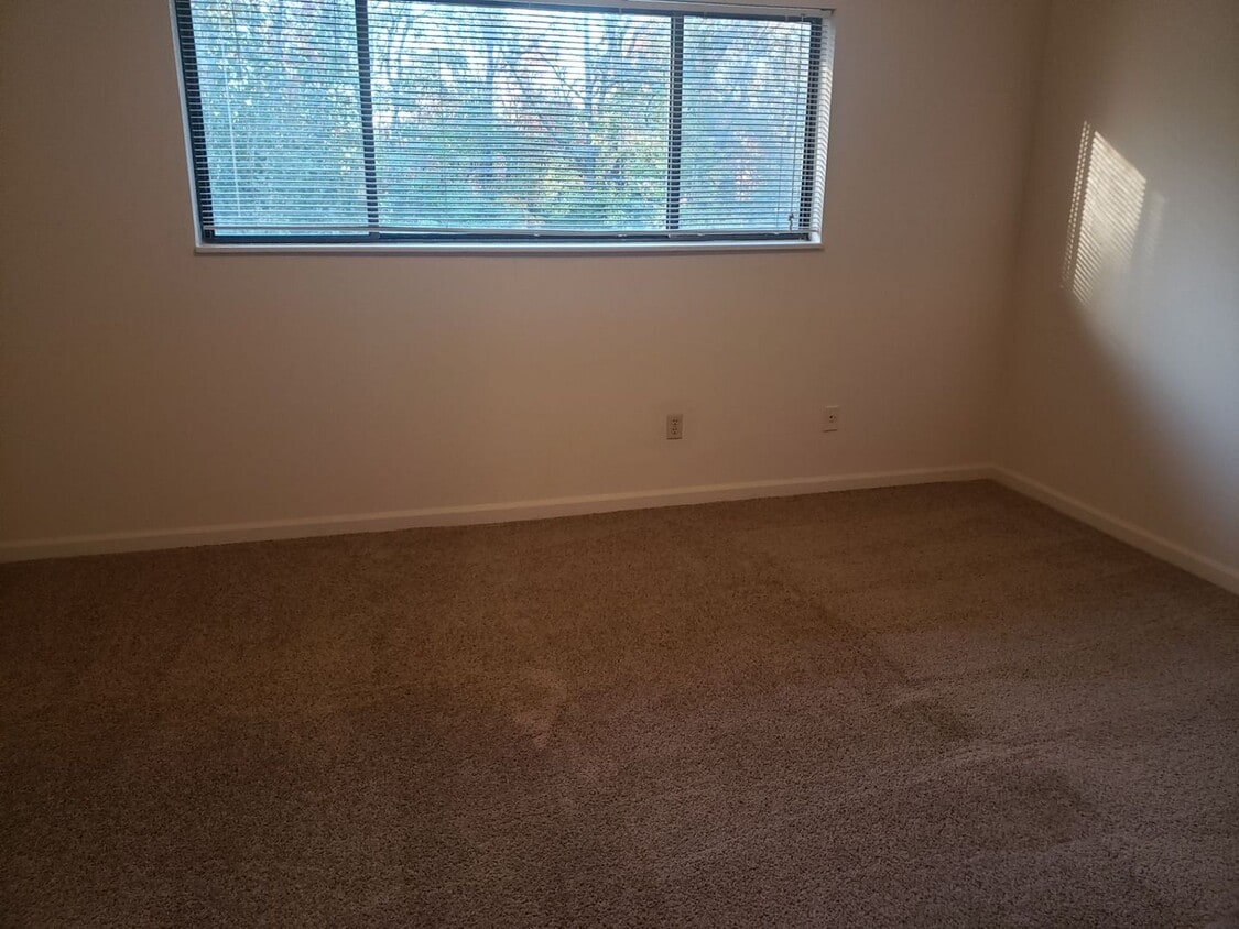Primary Photo - Charming 1BR Apartment – Minutes from Nash...