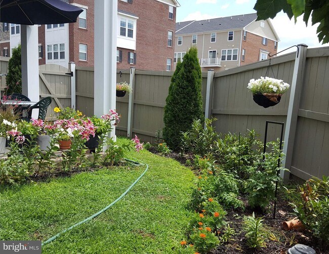 Foto del edificio - 25529 Feltre Terrace