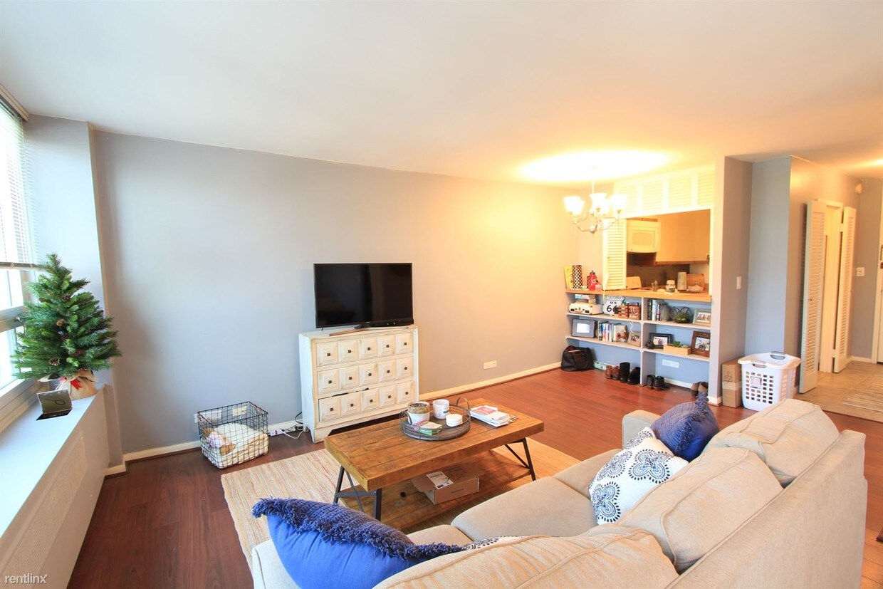 1 br, 1 bath - 88 W Schiller St Apt 405 - 1 br, 1 bath  - 88 W Schiller St Apt 405