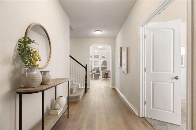 Building Photo - 1105 Spanish Dove Dr