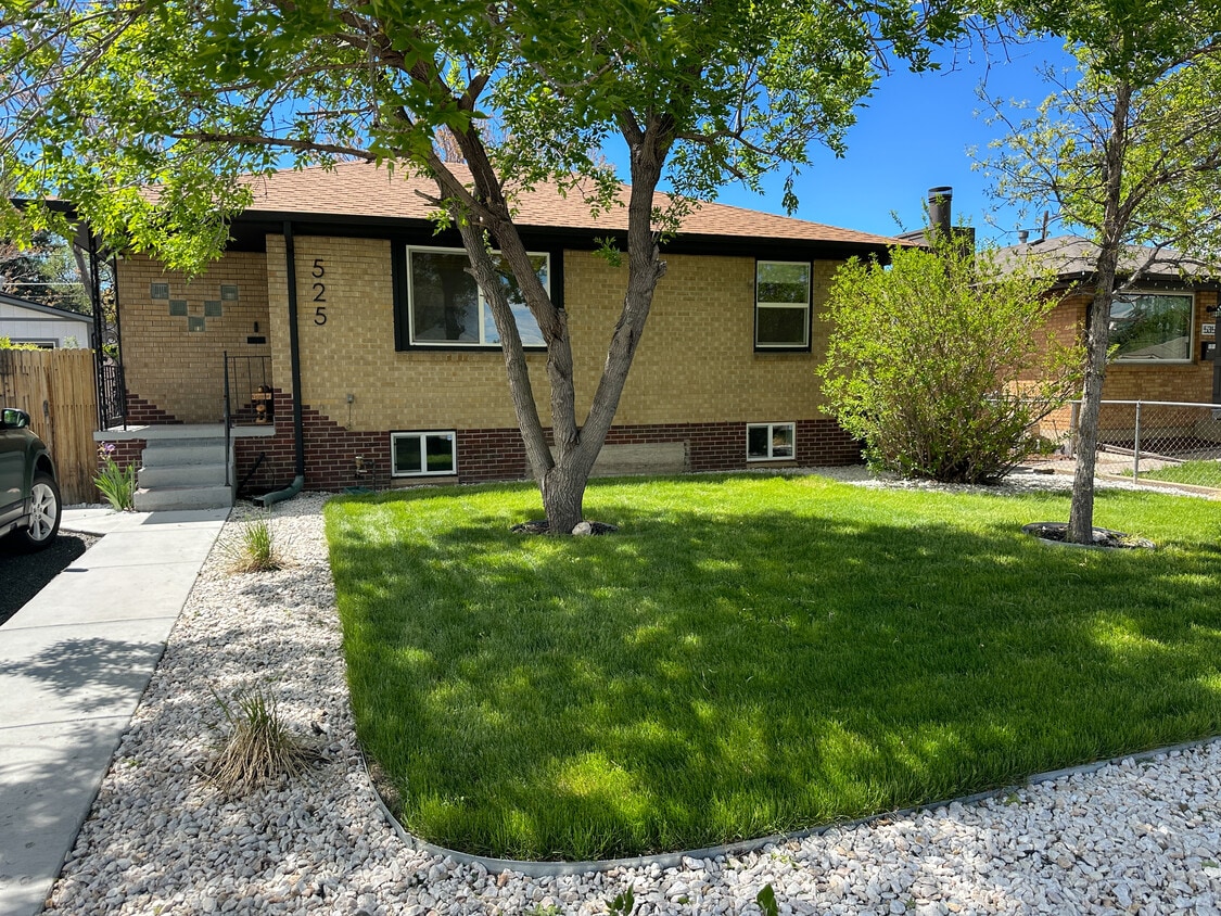 Front Yard - 525 Perry St (Denver, CO)