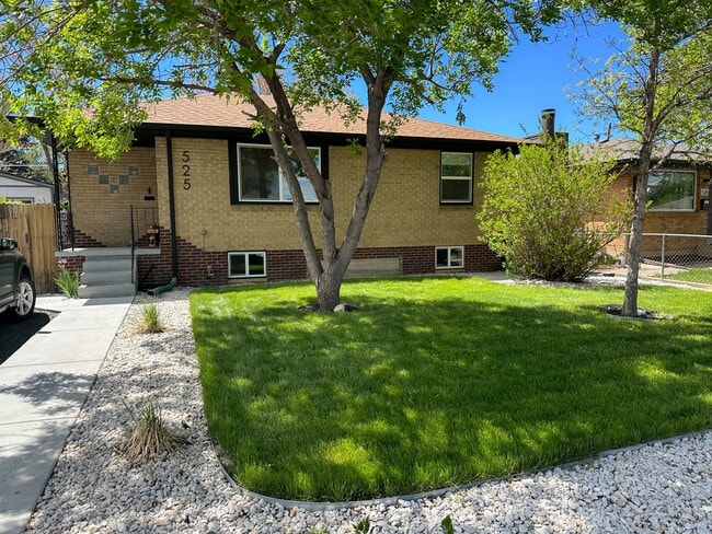 Front Yard - 525 Perry St House