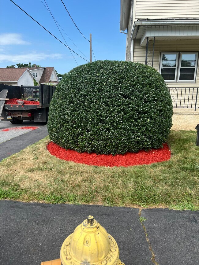 Foto del edificio - 132 S Apple St