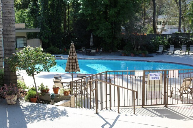 Pool - 4055 Tujunga Ave