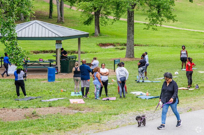 Local gather in Delwoods Park for the Yoga in the Park class.