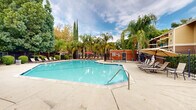 Located at 209 Aegean Way in Vacaville, California, this outdoor amenity area centers around a generously sized swimming pool with clear turquoise water. The pool features a classic geometric shape with gently sloped entry steps equipped with stainless steel handrails, making it accessible and inviting. The surrounding deck is finished in smooth concrete and furnished with multiple lounge chairs and chaise lounges, some shaded by large tan and red umbrellas, providing ample space for relaxation. The pool area is enclosed by a secure metal fence, ensuring both safety and privacy. The landscaping is a standout feature, with tall palm trees, slender Italian cypress trees, and mature shade trees creating a lush, resort-like atmosphere. Neatly trimmed rounded shrubs line portions of the perimeter, adding a polished, well-maintained aesthetic. In the background, the warm earth-toned brick and wood-sided residential buildings are visible through the greenery, complementing the overall character of the community. A separate hot tub or spa is also visible within the fenced enclosure, offering an additional relaxation option. The combination of abundant natural greenery, well-appointed seating, and the sparkling pool makes this outdoor space a central and appealing feature of the community.