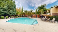 Located at 209 Aegean Way in Vacaville, California, this outdoor amenity area centers around a generously sized swimming pool with clear turquoise water. The pool features a classic geometric shape with gently sloped entry steps equipped with stainless steel handrails, making it accessible and inviting. The surrounding deck is finished in smooth concrete and furnished with multiple lounge chairs and chaise lounges, some shaded by large tan and red umbrellas, providing ample space for relaxation. The pool area is enclosed by a secure metal fence, ensuring both safety and privacy. The landscaping is a standout feature, with tall palm trees, slender Italian cypress trees, and mature shade trees creating a lush, resort-like atmosphere. Neatly trimmed rounded shrubs line portions of the perimeter, adding a polished, well-maintained aesthetic. In the background, the warm earth-toned brick and wood-sided residential buildings are visible through the greenery, complementing the overall character of the community. A separate hot tub or spa is also visible within the fenced enclosure, offering an additional relaxation option. The combination of abundant natural greenery, well-appointed seating, and the sparkling pool makes this outdoor space a central and appealing feature of the community.