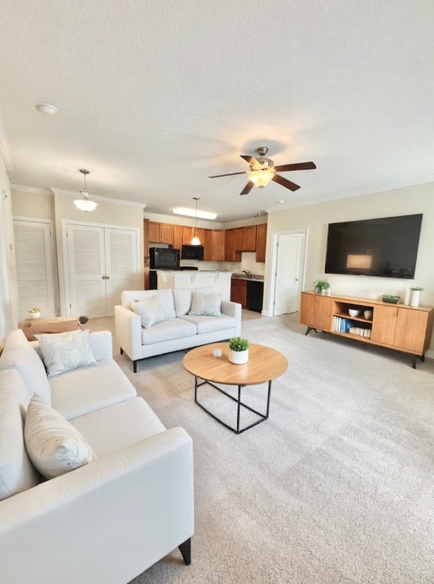 Two Bedroom - Palisades of Belmont