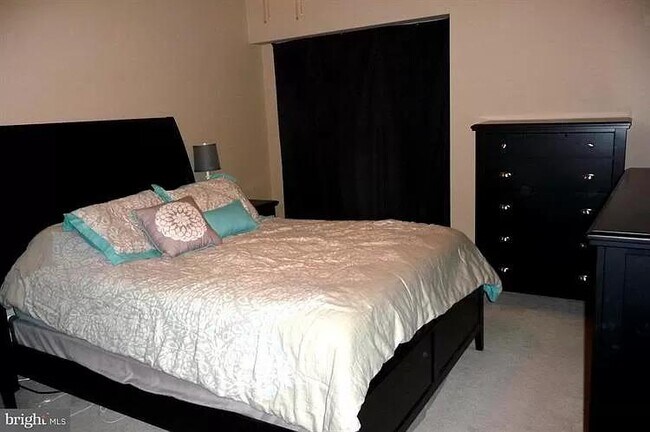 Carpeted Master Bedroom with Large Walk-in Closet - 7640 Tremayne Pl