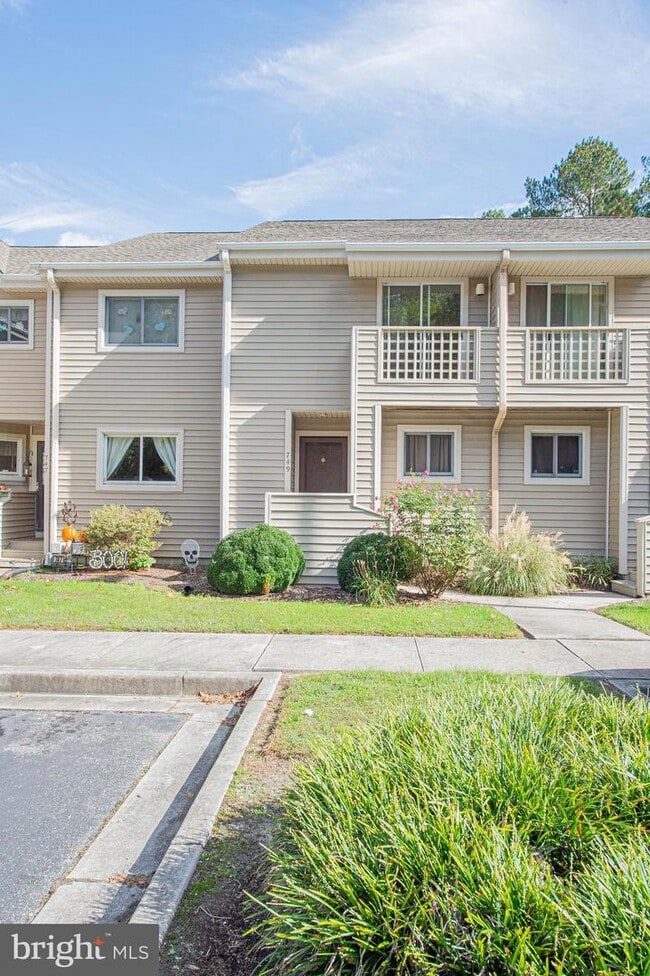 Building Photo - 749 Canvasback Ct