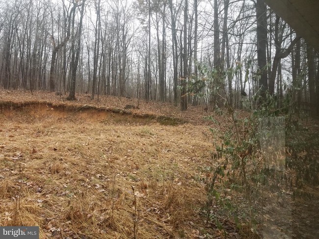 Building Photo - 295 Cold Run Valley Rd