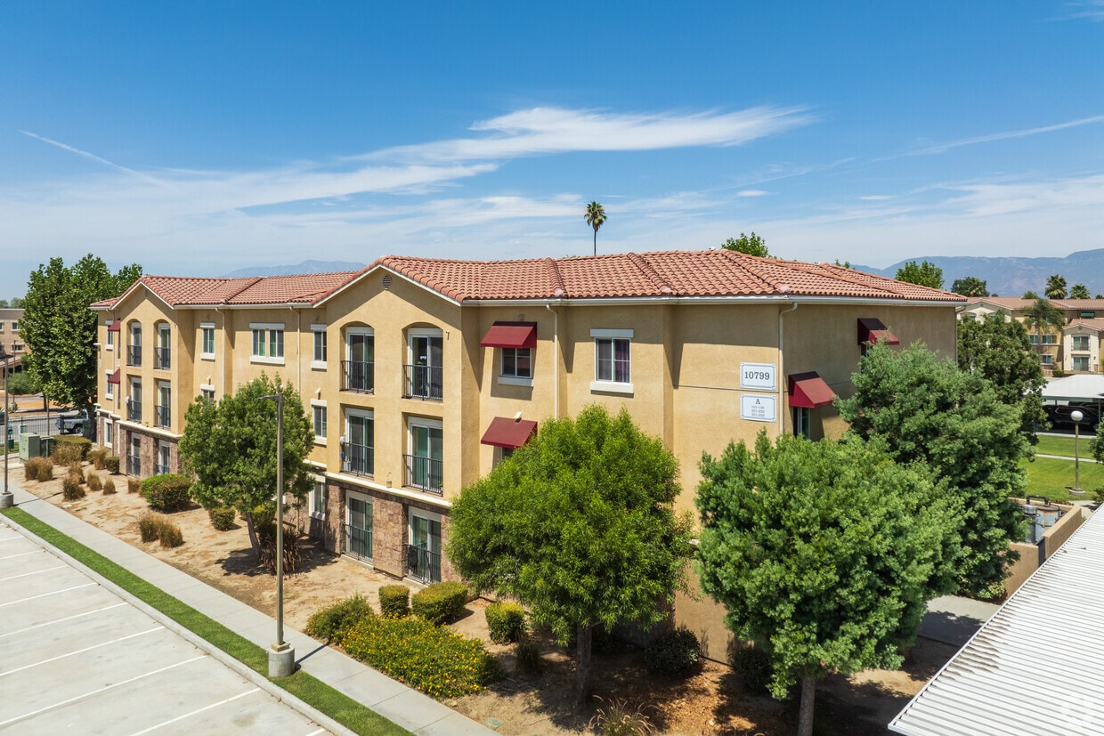 Primary Photo - Loma Linda Commons