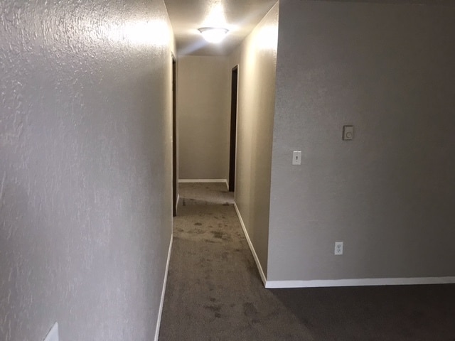 Hallway - 5035 15th Ave NE