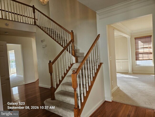 Building Photo - 234 Whirlaway Ln