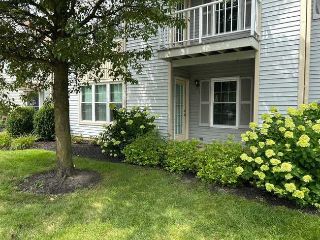 Patio - 3201A Ramsbury Ct