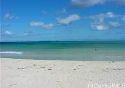 Building Photo - 520-B N Kalaheo Ave